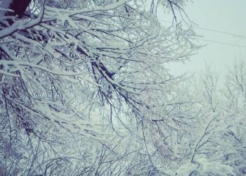 Якою буде погода в Маневичах сьогодні, 20 січня