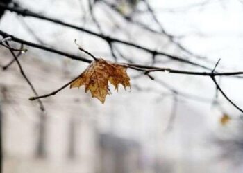 Прогноз погоди на 21 січня у Маневичах
