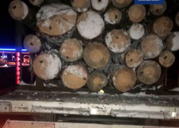 На Маневиччині зупинили вантажівку із документами, що не відповідають вантажу