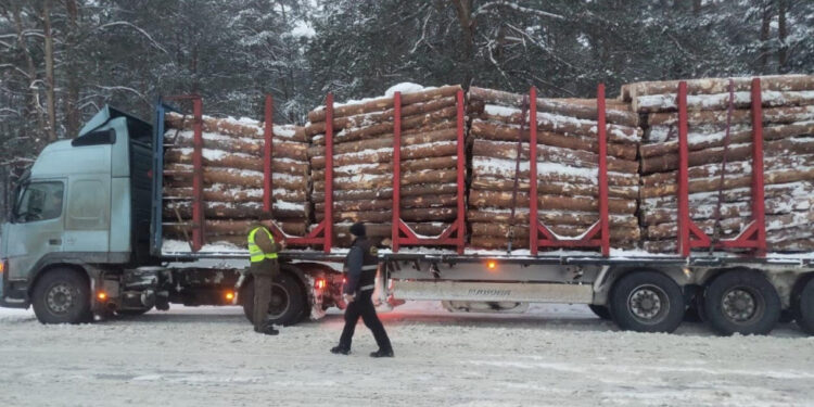 На Маневиччині зупини вантажівку із деревиною, документи не відповідали вантажу