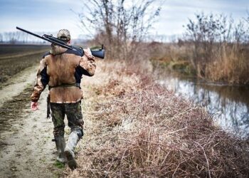 На Маневиччині вполювали вовка та вовчицю (Фото 18+)