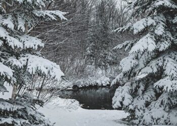 Четвер, 4 лютого, якою буде погода в Маневичах