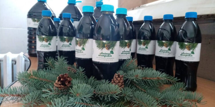 Хвойний екстракт від Маневицьких лісівників – чудовий засіб від респіраторних захворювань та ревматизму
