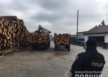 Близько сотні кубів вилученої деревини та бурштин: на Маневиччині тривають масштабні обшуки