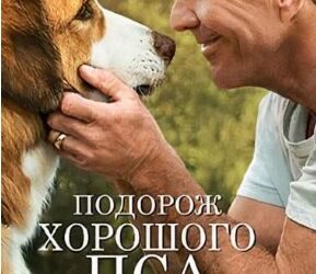 У Маневичах запрошують на кінофільм за донат