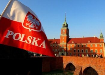 Польща готує зміни для українських водіїв: нововведення та штрафи