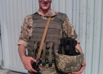 У районі оголошена триденна жалоба: на  щиті повертається житель Троянівки