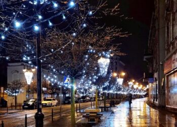 Вірш Сергія Волинського